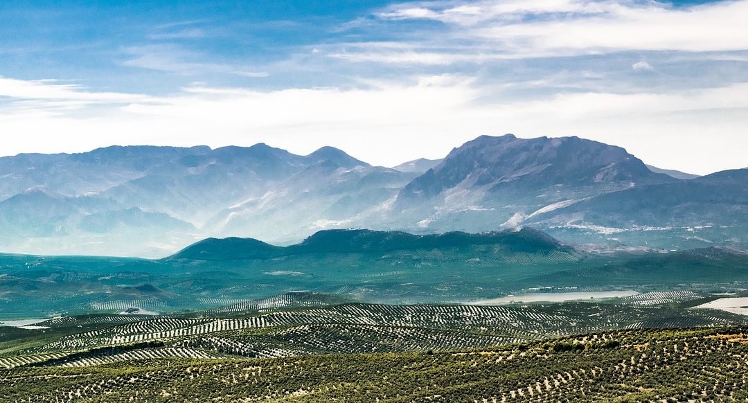 35 años de la Ley de Reforma Agraria de Andalucía: ¿la tierra está hoy en menos y peores manos?