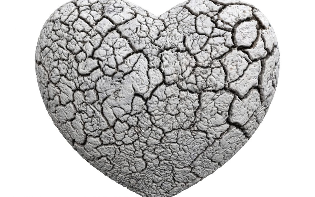 Corazón de piedra 2019