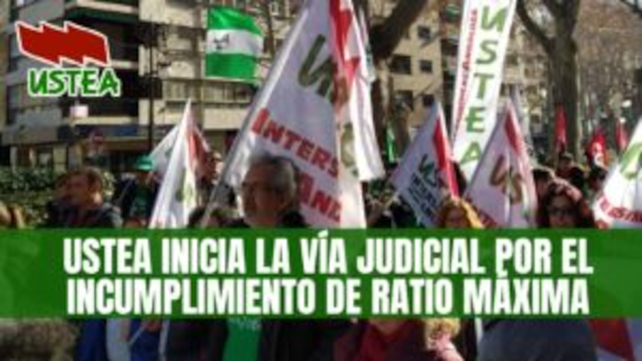 USTEA demanda a la Consejería de Educación por incumplimiento generalizado de la ratio máxima