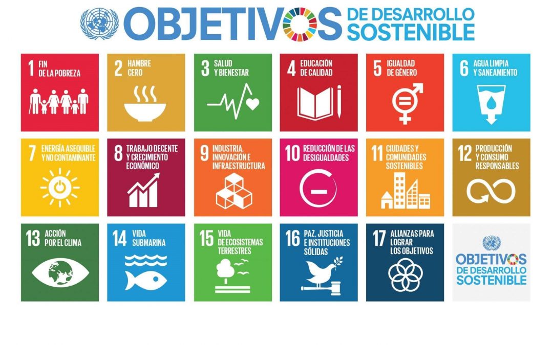 Currículum educativo ante la emergencia climática