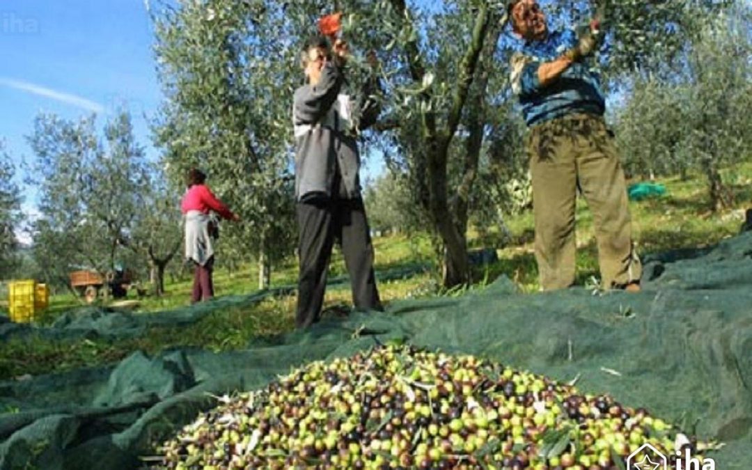 La Mirada de Paco Moro: «Ante las movilizaciones promovidas en el campo por la gran patronal representada por ASAJA»