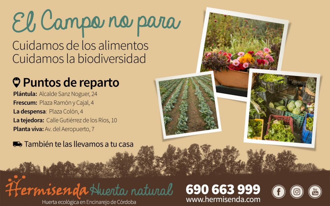 Hermisenda Huerta Natural te lleva productos ecológicos a casa