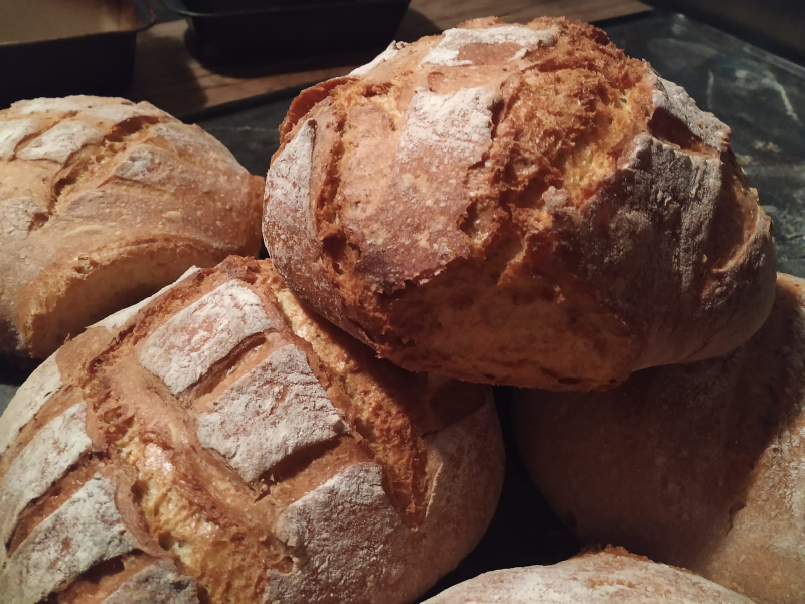 Hogaza 2 La Amalgama