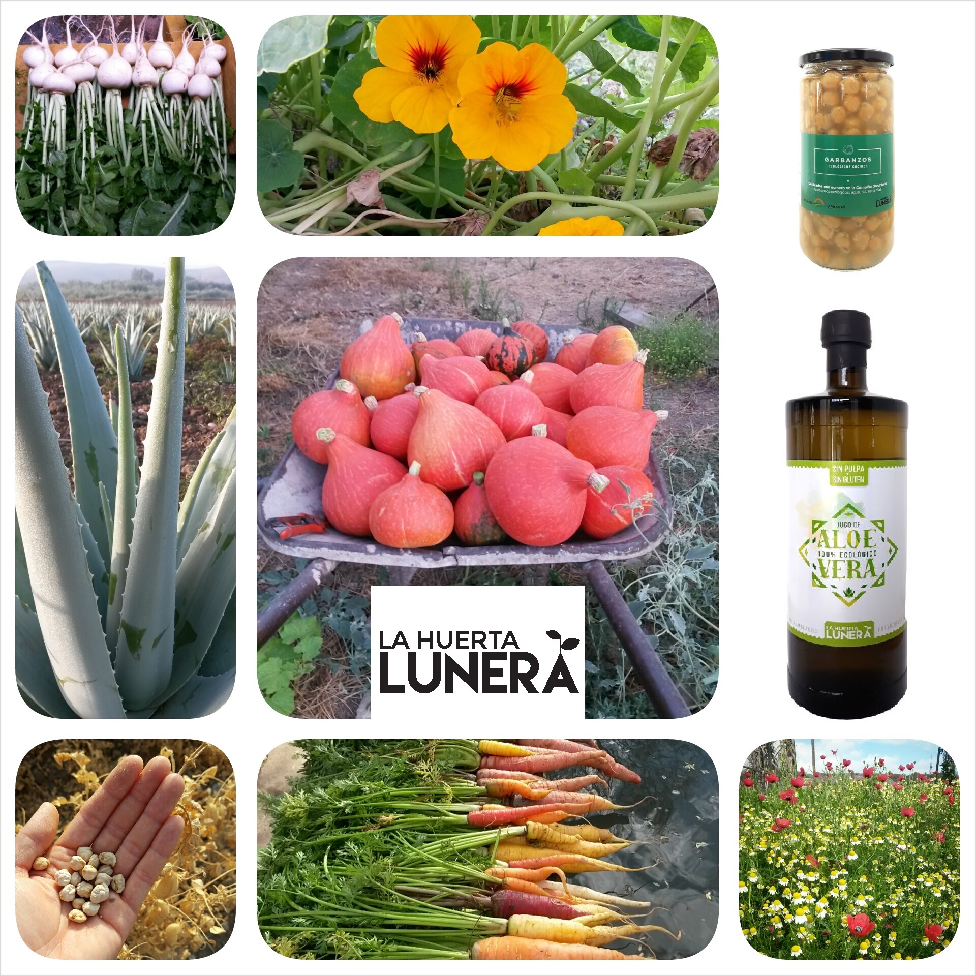 La Huerta Lunera productos