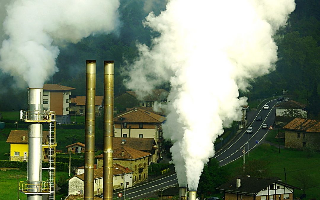 Contra el cambio climático, sentido común