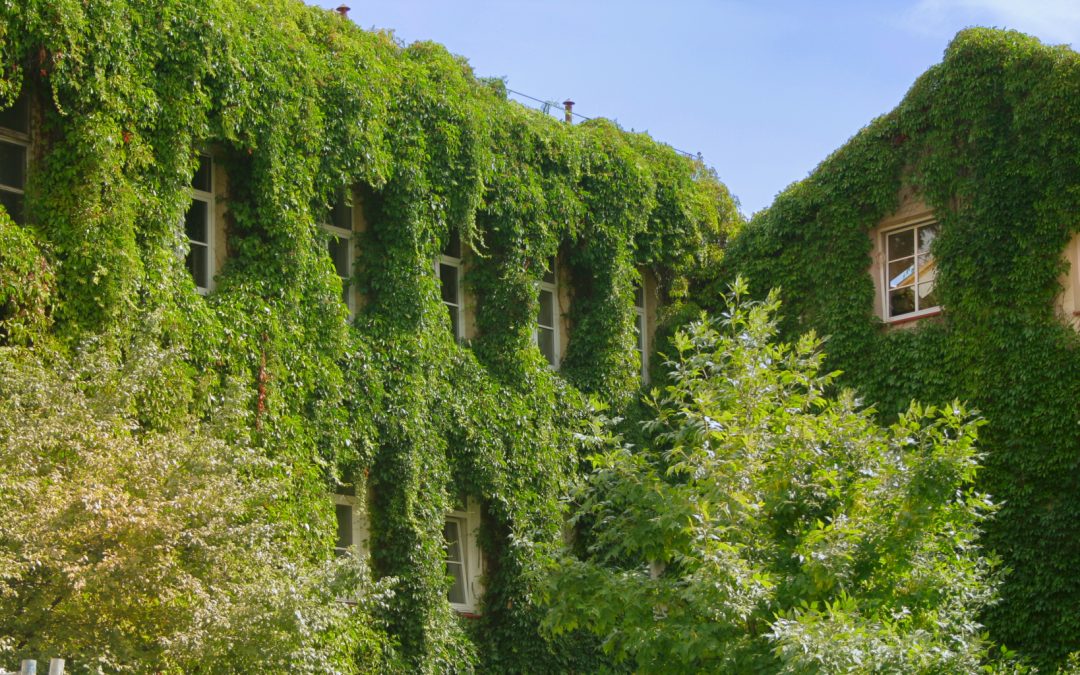 Una Declaración de Emergencia Climática con consecuencias directas