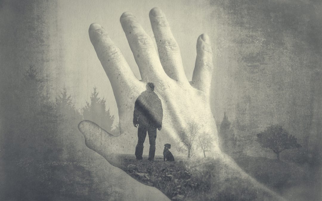 Sombras y Niebla (municipal)