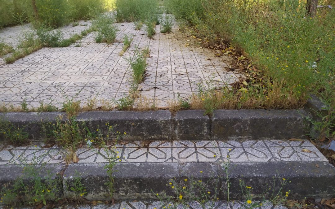 La Asociación Vecinal Amargacena recuerda al ayuntamiento que la desescalada debe llegar también al barrio del Guadalquivir