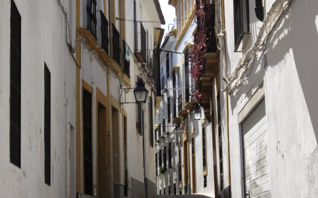 Al-Zahara ve necesaria una revisión urgente ante la situación actual del Casco Histórico