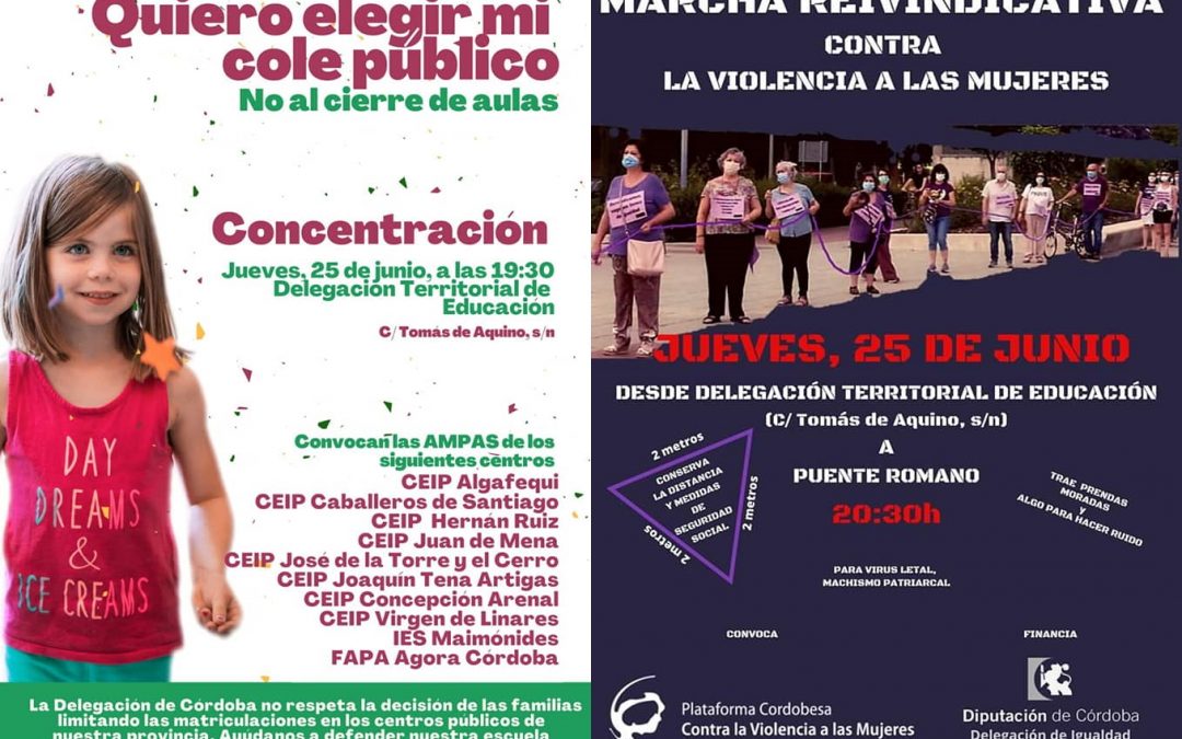 El Consejo del Movimiento Ciudadano en contra de la eliminación de unidades en colegios públicos