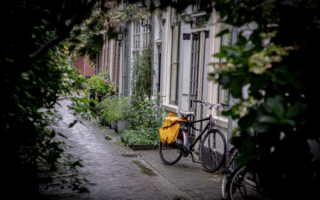 Hay que empezar ya a construir sociedades bajas en carbono