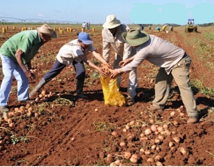 CTA lamenta la inacción de la inspección de trabajo ante la explotación en el campo