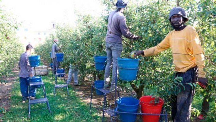 APDHA presenta en la Facultad de Derecho de Sevilla su Informe Frontera Sur 2025 este jueves 3 de abril