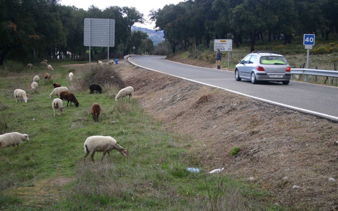 Ecologistas en Acción denuncia la contaminación por glifosato en el agua del Parque Natural «Sierra de Grazalema»
