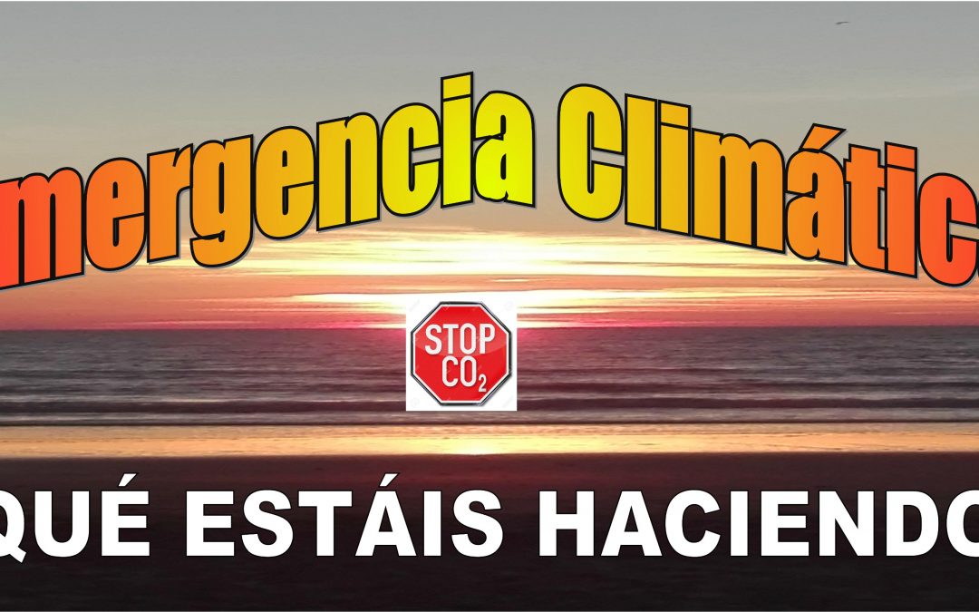 La Plataforma Rebelión por el Clima Córdoba estará presente en el pleno del Ayuntamiento del jueves día 17