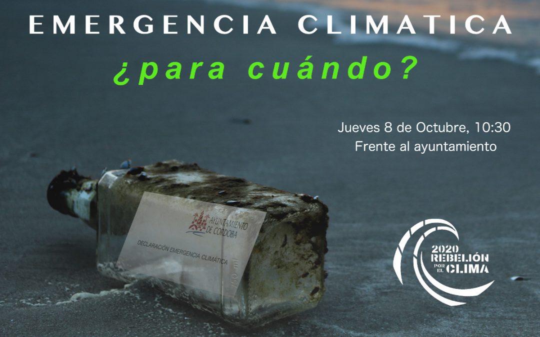 Rebelión por el Clima reivindicará en el pleno del jueves las medidas prometidas por el Ayuntamiento