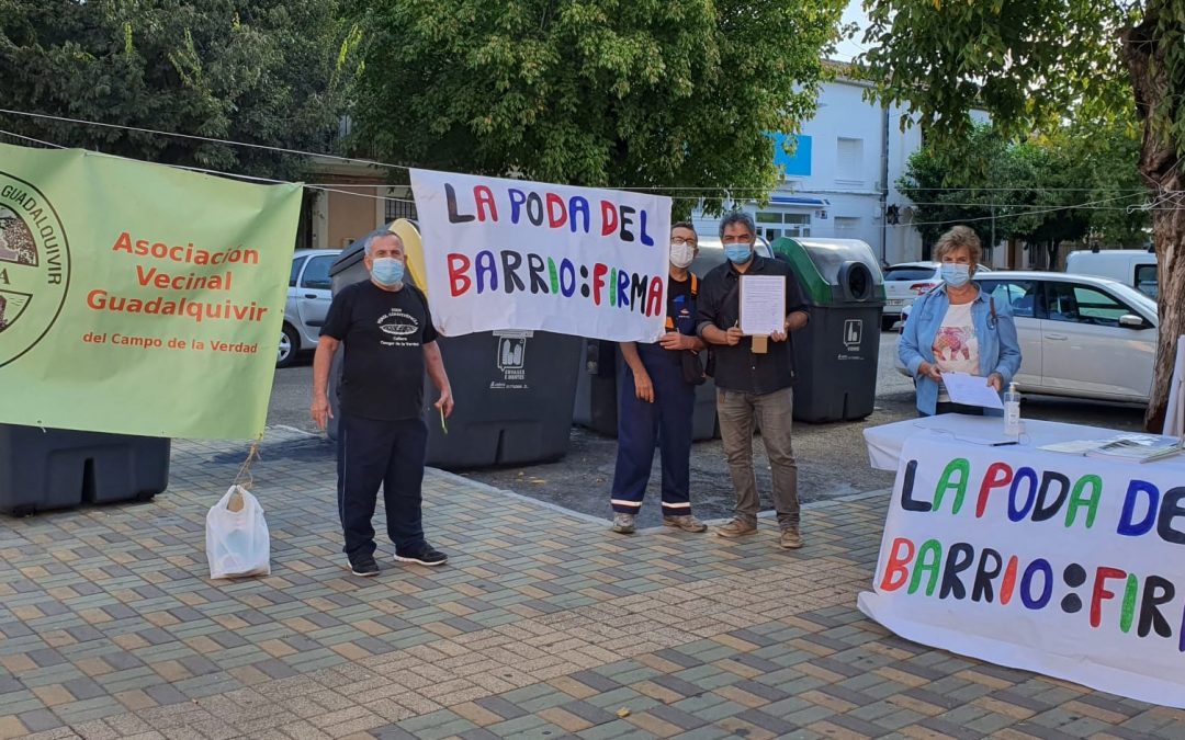La A.V. Guadalquivir se moviliza por una adecuada y urgente poda en el Campo de la Verdad