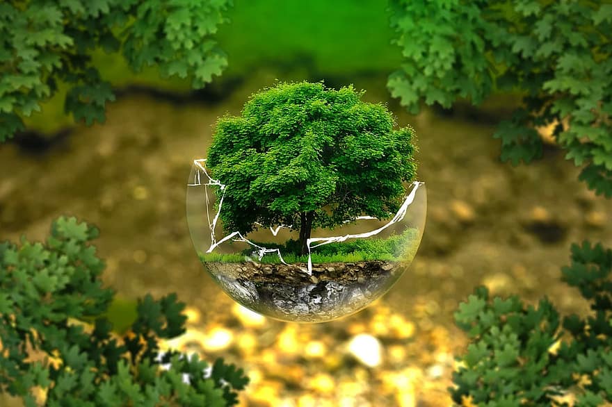 Organizaciones sociales, ecologistas y ciudadanas valoran negativamente los premios Andalucía Medio Ambiente 2020