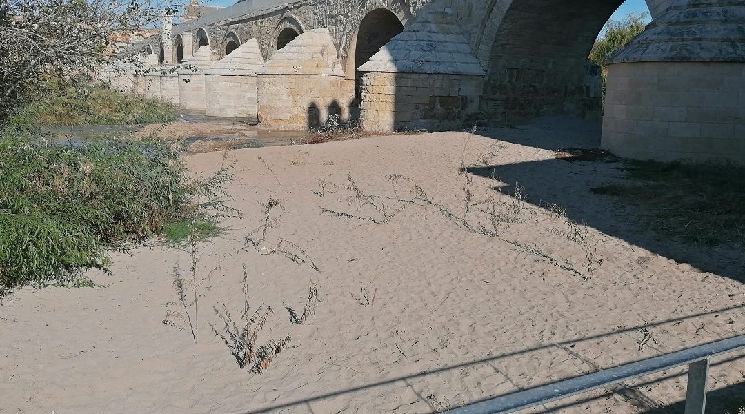 El Defensor del Pueblo de España admite a trámite una queja de la Plataforma por un Río Vivo.