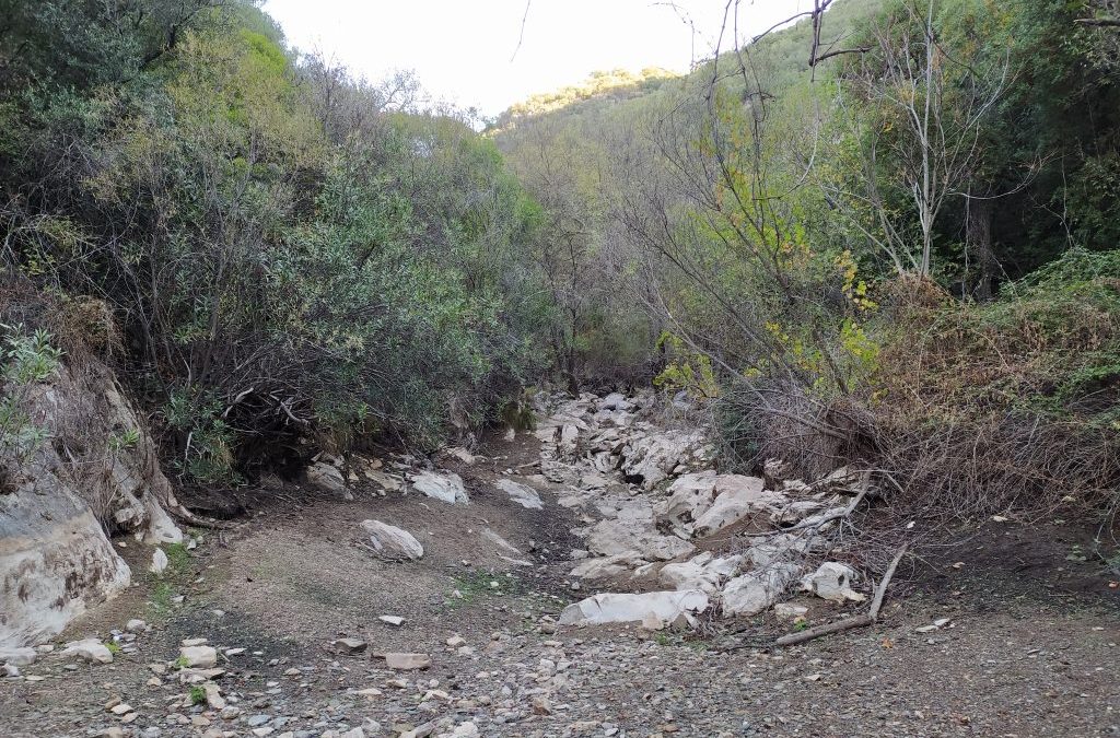 Respecto al estado del Río Guadalora