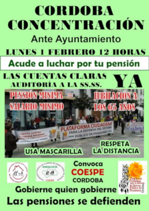 Éxito en todo el país de las movilizaciones de pensionistas el 25 de enero contra las conclusiones del Pacto de Toledo