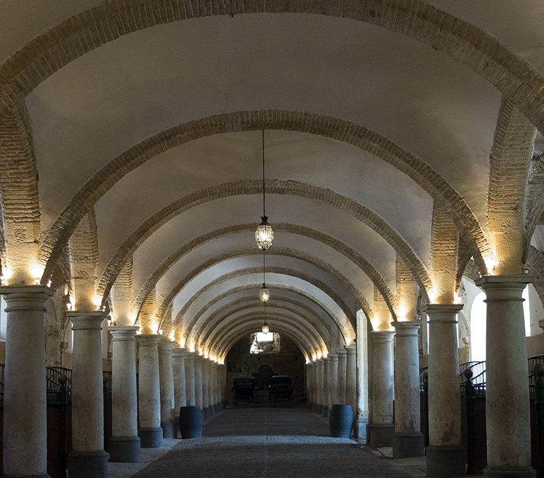 El Consejo del Movimiento Ciudadano a favor de usos culturales en Caballerizas