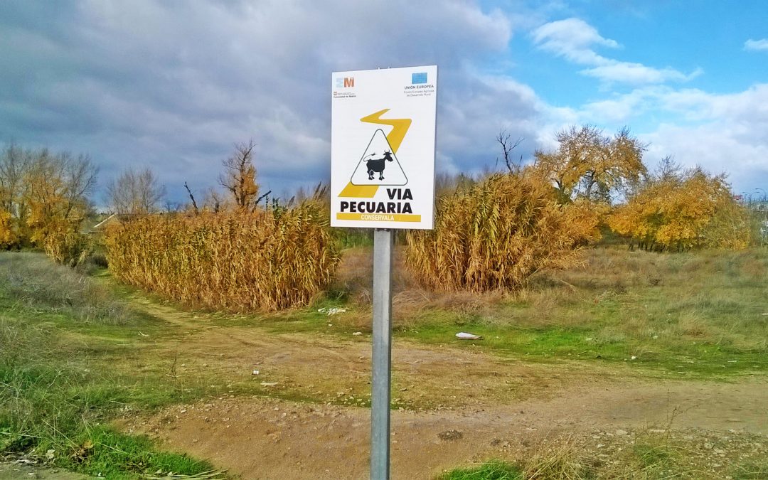 Una denuncia por usurpación de la vía pecuaria de Vélez Málaga se investiga en el juzgado dos años después