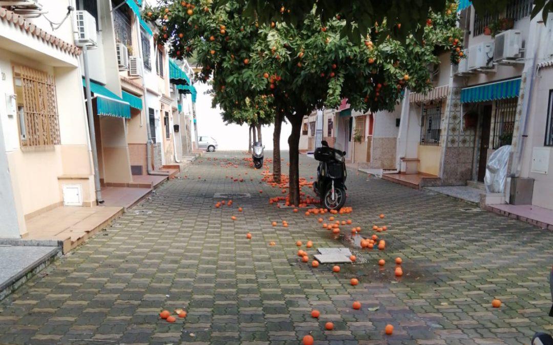 El Consejo Distrito Sur exige dignidad para sus barrios.