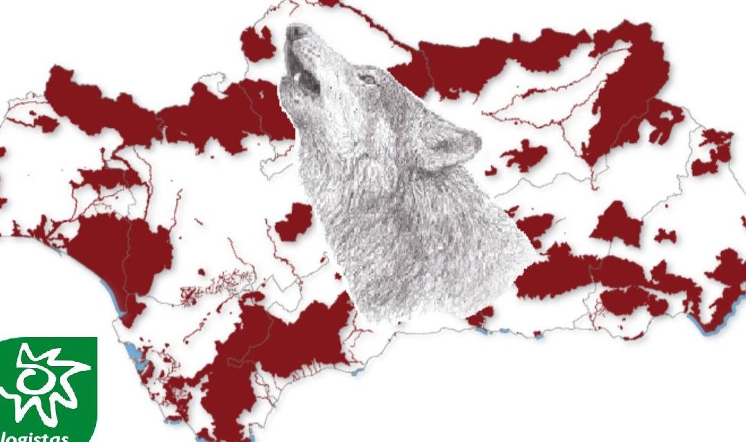 Ecologistas en Acción considera indignante que la Junta de Andalucía apueste por la extinción del lobo