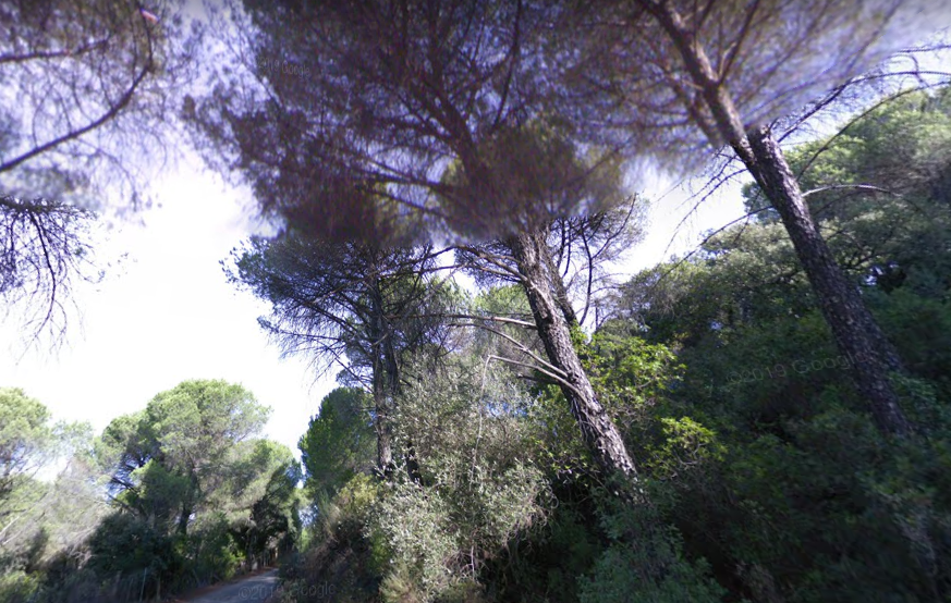 Detectadas nuevas viviendas en la parcelación irregular de El Jardinito.