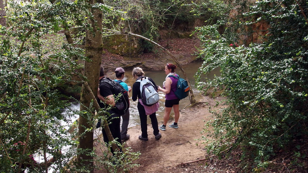 El Consejo del Movimiento Ciudadano urge más vigilancia en la Sierra
