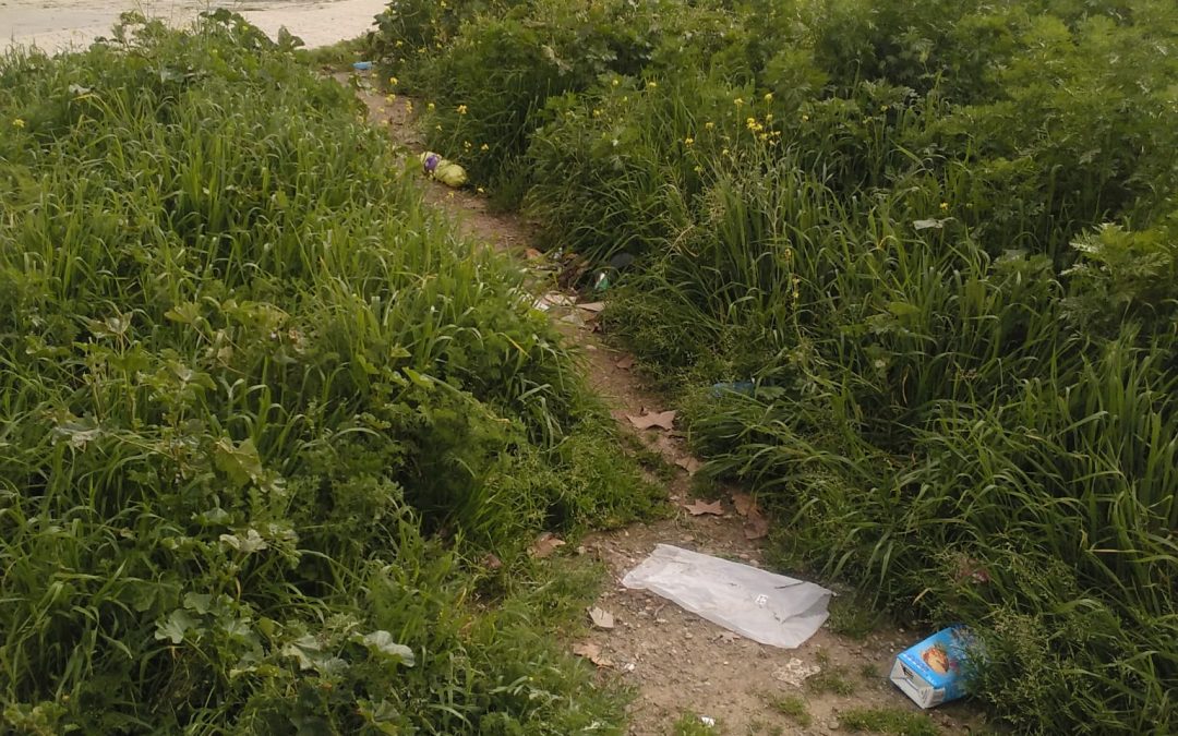 El Consejo de Distrito Sur denuncia la ineficacia de SADECO ante la suciedad de las calles