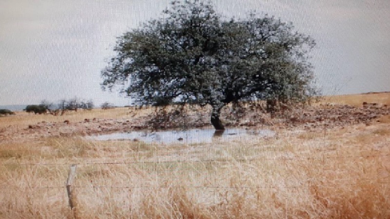 Ecologistas en Acción solicita a la Junta la regulación del despliegue de parques fotovoltaicos y eólicos en Andalucía