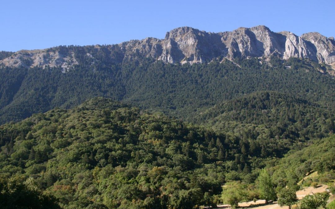 Ecologistas en Acción propone mayor participación social en la gestión de las Reservas de la Biosfera andaluzas