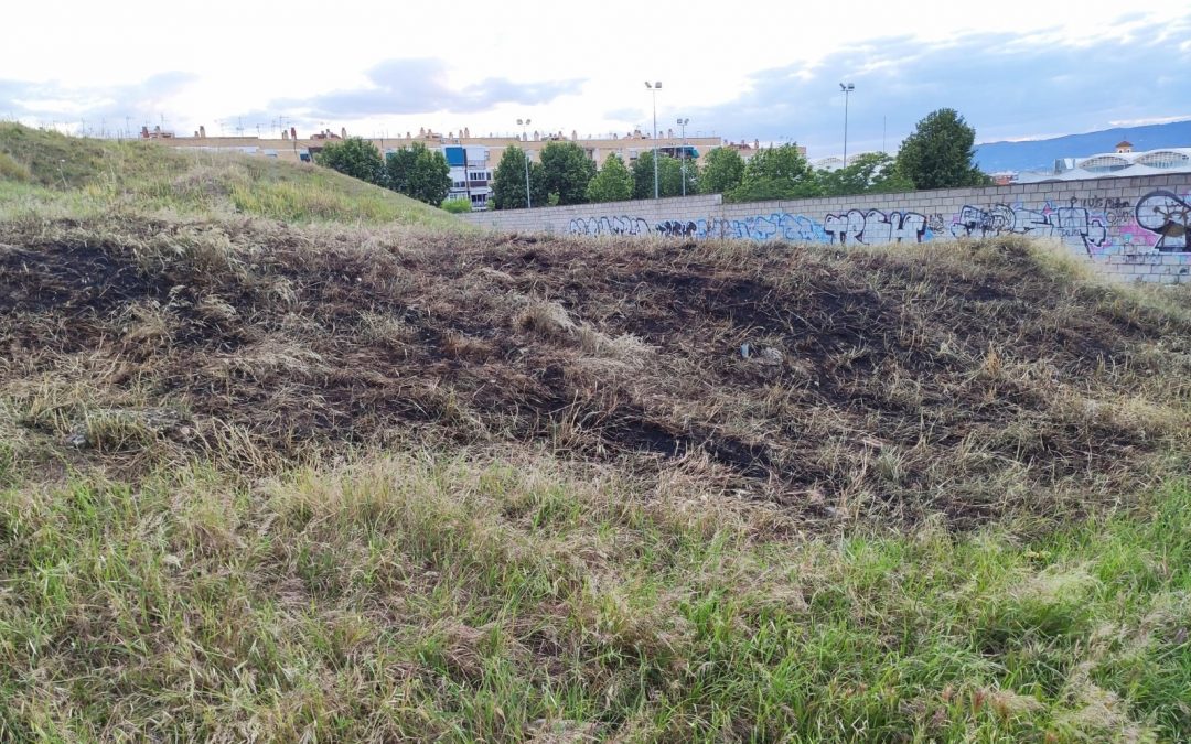 La A.V. Guadalquivir del Campo de la Verdad denuncia el abandono de solares públicos y privados
