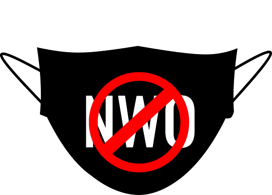 Estamos votando bien, con libertad