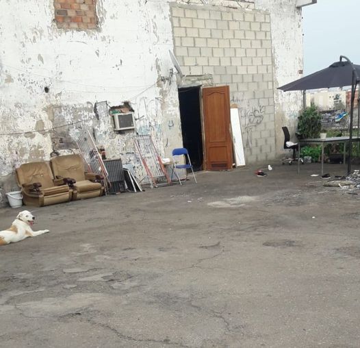 La Mirada de Cati Rojas: «Deben apañarse como puedan, es la vida por la que han optado»