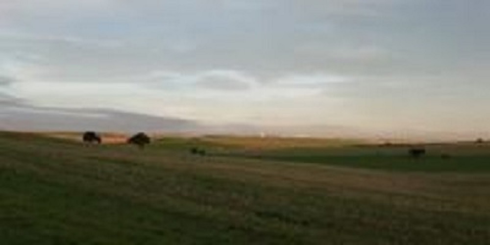 Ecologistas advierte del peligro que corre de conservación la Zona de Especial Protección para las Aves del Alto Guadiato.