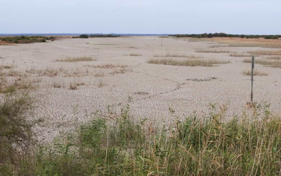 Ecologistas en Acción Andalucía avisa sobre el acuerdo marco sobre Doñana