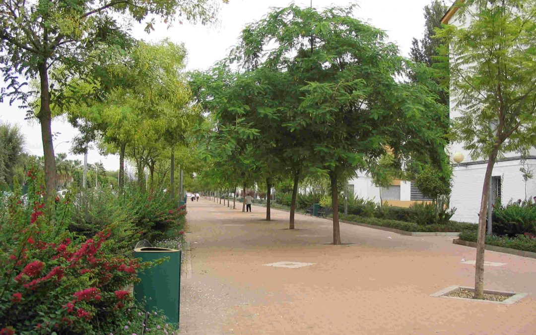 Al-Zahara actúa ante el conflicto delas zonas privadas de uso público