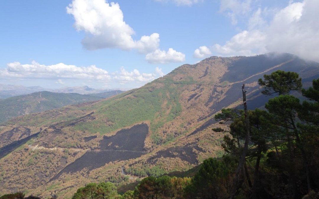 Ecologistas en Acción exige para Sierra Bermeja la máxima protección