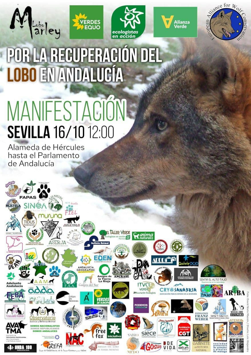 Cartel manifestación lobo 16-10-21