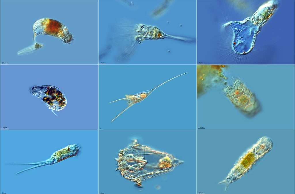 “Eso ya lo veremos otro día…”