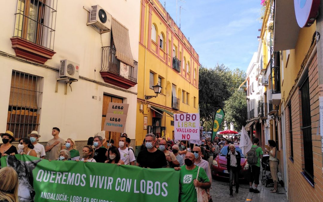 Manifestación en Sevilla por la vuelta del lobo a Andalucía