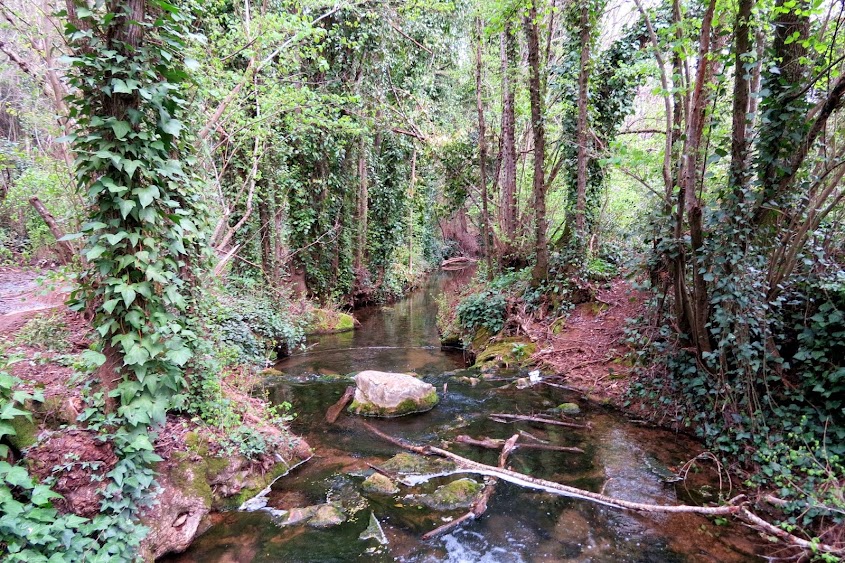 A Desalambrar y Ecologistas en Acción lamentan que Desarrollo Sostenible en Córdoba eluda su responsabilidad en la situación crítica del cauce y entorno del Arroyo del Molino