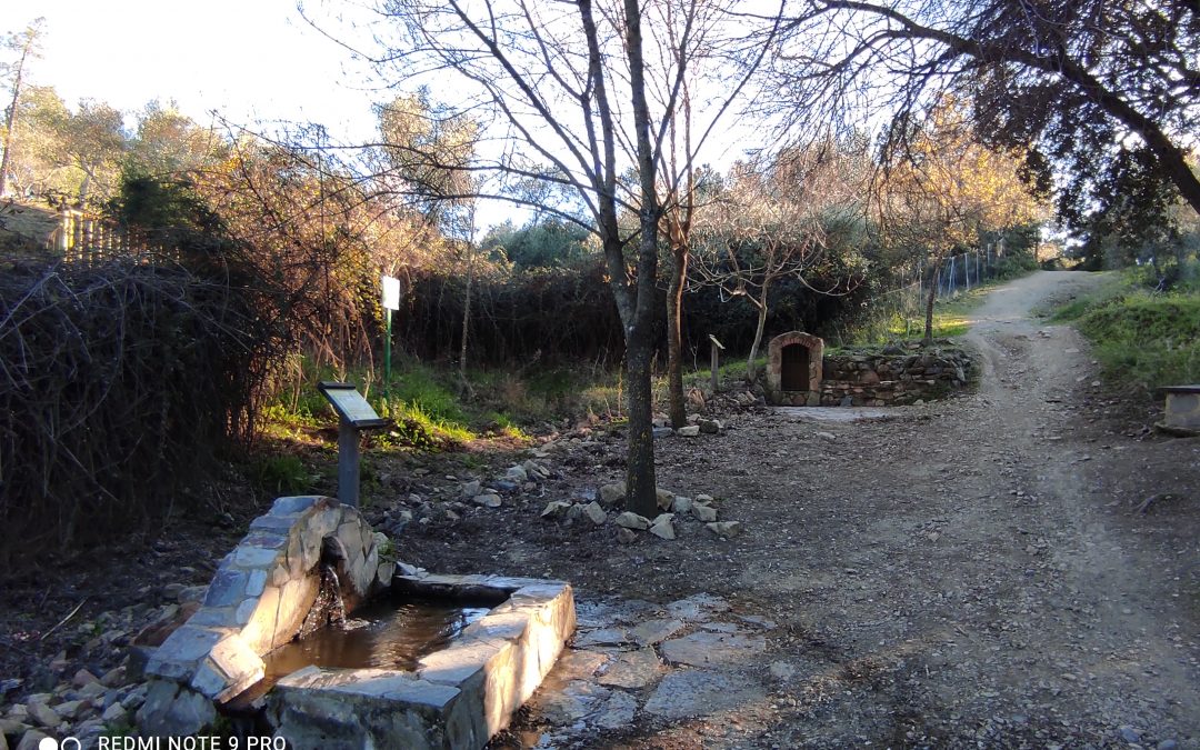 Ecologistas en Acción denuncia la fumigación con herbicidas de cunetas en Los Villares