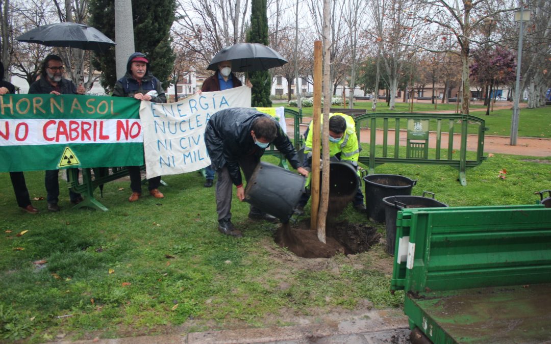 Un ginkgo por Fukushima. Concentración antinuclear al cumplirse trece años del accidente nuclear en la ciudad japonesa