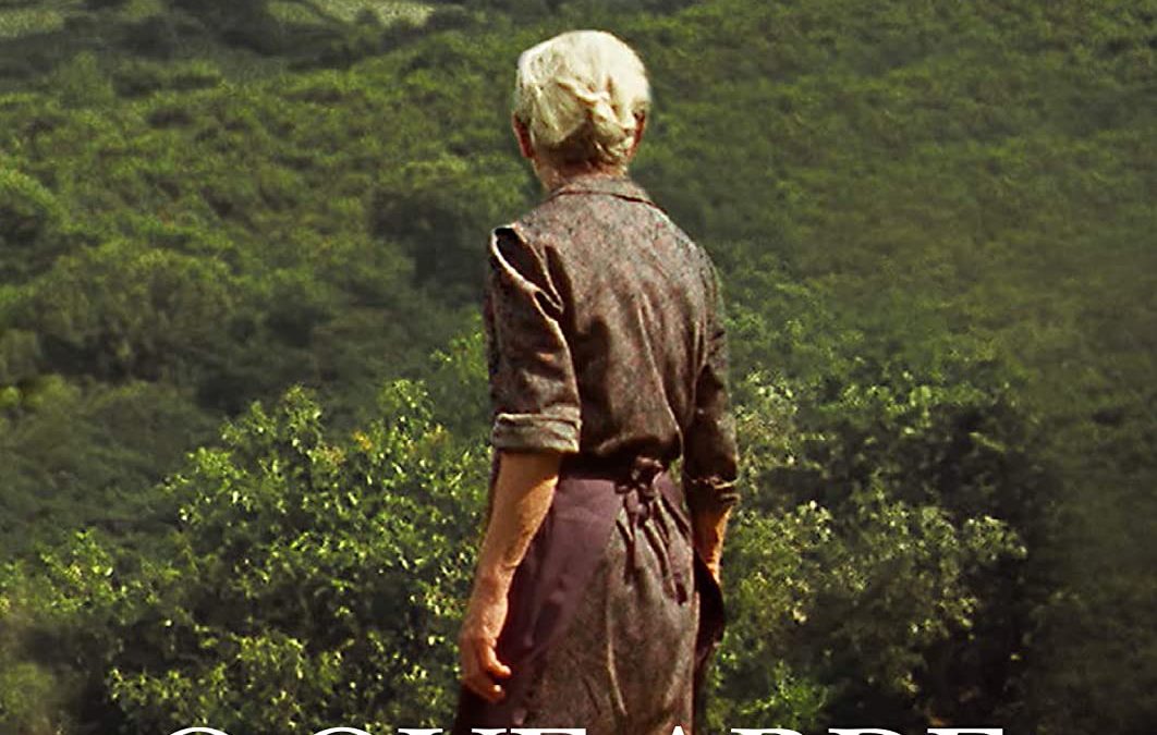 Lo que arde, paisaje como testigo y cómplice