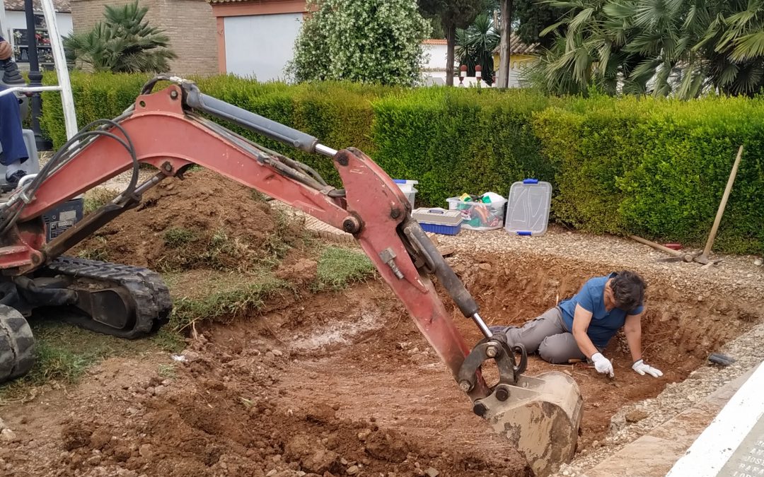 Aparecen los primeros restos de los asesinados por el franquismo en el cementerio de Palma del Río