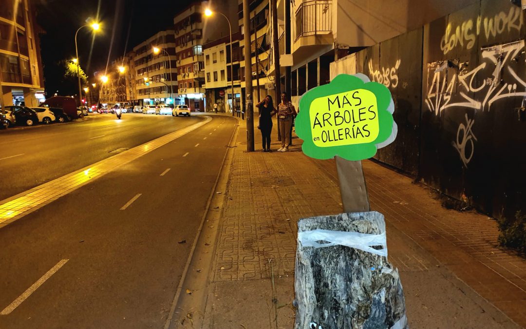 Árboles en Ollerías